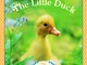 The Little Duck