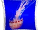 Danita Delimont - Marine Life - Monterey Bay Aquarium - Jellyfish - 16x16 inch Pillow Case...