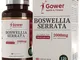 GH Boswellia Serrata 2000mg | Boswellia Franchincenso Indiano Estratto 5:1 | 120 Capsule V...