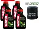 TAGLIANDO 4 L OLIO MOTUL 5100 10W40 FILTRO OLIO H ONDA HORNET 600 2000 2001 2002