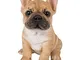 Vivid Arts Pet Pals pupazzo bulldog francese castano chiaro