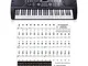 Cuepar 88-tasti, 61 tasti, 54 tasti, trasparenti, tastiera elettronica per pianoforte, ade...