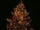 Salone Negozio Online Catena Luminosa LUCI di Natale 120 Maxi LED Multicolor MT.10,50 - PR...