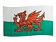 AZ FLAG Bandiera Galles 150x90cm - Bandiera Gallese 90 x 150 cm