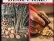 Pyrography Fpr Beginners: A Complete Guide, Tips Trick And Techniques For Beginners To Woo...