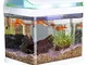 Sweetypet Acquario: Serbatoio per il trasporto dei pesci con filtro, Illuminazione a LED e...