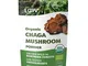 LOOV fungo chaga biologico in polvere, raccolto allo stato selvatico, cresciuto in maniera...