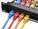 24 Porte 1U Montabile Su Rack Cat6 Pannello Patch, Pro Rj45 Porta Cavo Di Rete Spina Dirit...