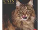Legami - Calendario 2021 da Parete, 30X29 CM, Stampa: Cats