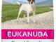 Eukanuba Breed Specific Alimento Secco per Jack Russell Terrier Adulti, Cibo per Cani Adat...