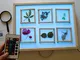 R-Crea Tavolo luminoso Montessori 48x37x7 - Colore naturale -Con certificato di qualità ri...