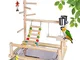 RoseFlower Supporto per Uccelli in Legno, Parco Giochi/Palestra/Set di Giocattoli, Trespol...