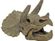 Amtra Wave Teschio di Triceratopo