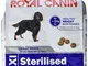 Royal Canin (ROYBJ) cibo per cani Maxi sterilizzato, confezione da 1 (1 x 3 kg)