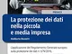 La protezione dei dati nella piccola e media impresa. L'applicazione del Regolamento Gener...