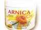 Officinalis - Arnica 90% Per Cavalli Uso Umano Prodotta in Italia - 500 Ml, Gel 90% di Arn...