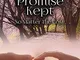 A Promise Kept (Irish King) (English Edition)