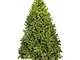 Albero Natale Pino Russo cm.270 Verde con Pigne