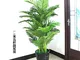 GETSO Piante Artificiali di Grandi Dimensioni Verde 150 Centimetri Pteris Bonsai Fiore di...