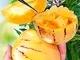 Kisshes Giardino - 100 pezzi semi di pera melone rari mini pepino frutti di frutta e verdu...