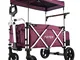 Fuxtec Carrello per Bambini Pieghevole e da Trasporto Deluxe FX-CTL900 (Colore: Viola)