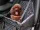 MATEPROX Seggiolino Auto per Animale Domestici, Ripetitore per Auto per Cani Pieghevole, I...