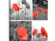 Quadro Stampa Moderno Natura Foto su Tela Papaveri Flora Collage rosso 80x80 cm