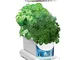 AeroGarden Cultivatore LED con Kit di Semi per Erbe Aromatiche Miracle-Gro, Bianca, 24x13x...