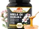 Miele di Manuka 400+ MGO da 250 gr. Prodotto in Nuova Zelanda, Attivo e Grezzo, Puro e Nat...