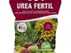 Urea (Urea Fertil) (4 Kg), concime granulare per orto e piante