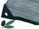 Telo Antispina Rete per raccolta Olive - 90 gr/mq SENZA Apertura Colore Verde con Angoli R...