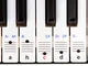 Trasparente, ablösbare Keysies adesivi per la per pianoforte e istruzioni Keyboard Tastier...
