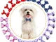 NATUCE 50 PCS Cane Fiocchi per Capelli, Fermagli per Capelli con Fiocco Elastico, Accessor...