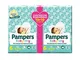 Pampers Baby Dry Pannolini, Taglia ExtraLarge, Confezione da 38 Pannolini
