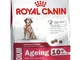 ROYAL CANIN - R.C.Medium Ageing + 10 kg. 15