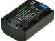 ChiliPower Sony NP-FV50, NP-FV30, NP-FV40 Batteria (950mAh) per Sony DCR-SR15, SR21, SR68,...