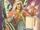 Tarot of the fairy folk. Ediz. multilingue