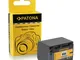 Batteria NP-FV70 per Sony Camcorder DCR-DVD110E, DVD115E, DVD150E, DVD310E, DVD410E, DVD45...