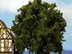 Noch - 21760 - Modello ferroviarie - Trees - Oak - 16 Cm