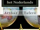 Zakelijk adverteren in het Nederlands: Inclusief lesplannen in het Nederlands