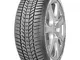 Sava Eskimo HP 2 XL FP M+S - 245/45R18 100V - Pneumatico Invernale