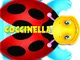 Coccinella