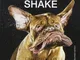 Shake. Ediz. illustrata