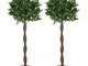 Outsunny Set di 2 Alberi di Alloro in Vaso, Piante Finte in Plastica Altezza 120cm per Int...