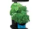 AeroGarden Cultivatore LED con Kit di Semi per Erbe Aromatiche Miracle-Gro, Nero, 24x13x38...