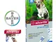 advantix bayer oltre i 25 kg anti pulci zecce pidocchi flebotomi kit 20 pipette