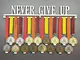 MEDALdisplay "Never Give UP - Medagliere da Parete Motivazionale (450 mm x 80 mm x 3 mm) -...