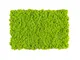 Flex Element: Pannello in Muschio stabilizzato Colore maygreen 35x55 cm