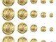 ZXShow 50 Pezzi Bottoni in Metallo Blazer Set 15mm 18mm 23mm 25mm 30mm D'oro Bottoni con G...