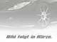 MS Autoteile 805951 BOSCH - Cinghia trapezoidale scanalata